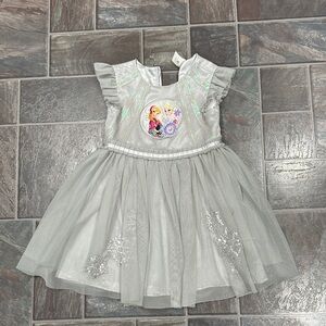 Disney Silver Elsa and Anna dress with Shimmering Details